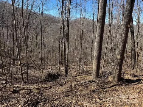 Andrew Banks Road, Burnsville, NC 28714