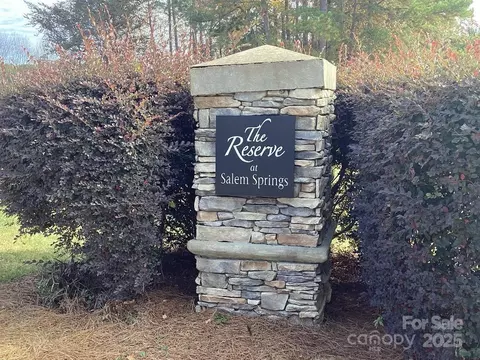 785 Seipel Dr, Denver, NC 28037 photo 19