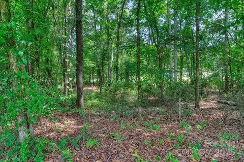 186 Niven Rd, Lancaster, SC 29720 photo 34