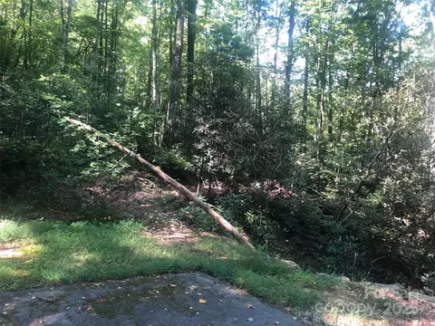 Peppervine 94 Circle #94, Rosman, NC 28772