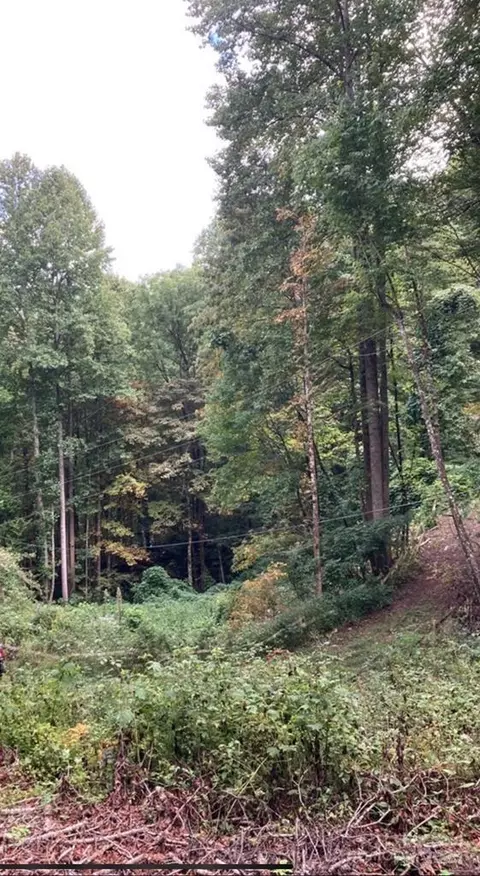 00 Laurel Lot 12 Dr #LOT 12, Whittier, NC 28789