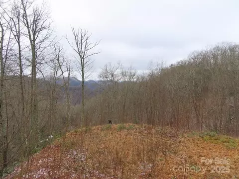 92 Alarka Highlands 92 Rd #92, Bryson City, NC 28713