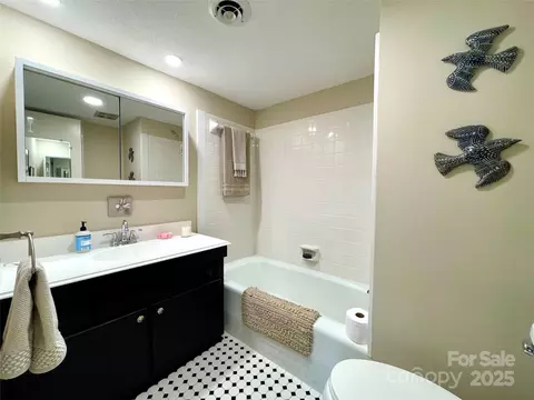 Bath - 305 Grady B2 Ave #B2, Tryon, NC 28782 photo 3 of 3