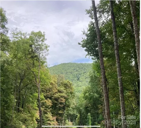 0 Laurel Lot 9 Dr #LOT 9, Whittier, NC 28789