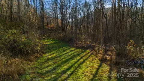 340 Wendy Ave, Marshall, NC 28753 photo 40