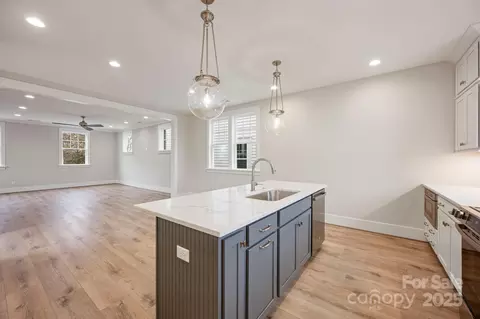 Other - 225 Davidson Gateway Dr, Davidson, NC 28036 photo 1 of 3