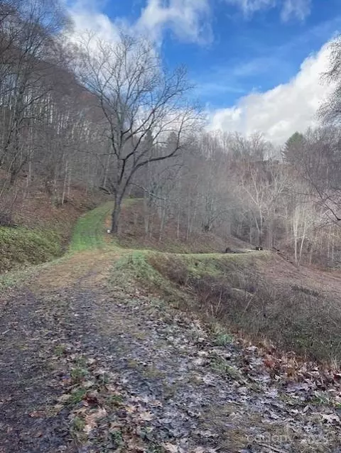 0 Hardwood 100 Cv #100, Waynesville, NC 28785