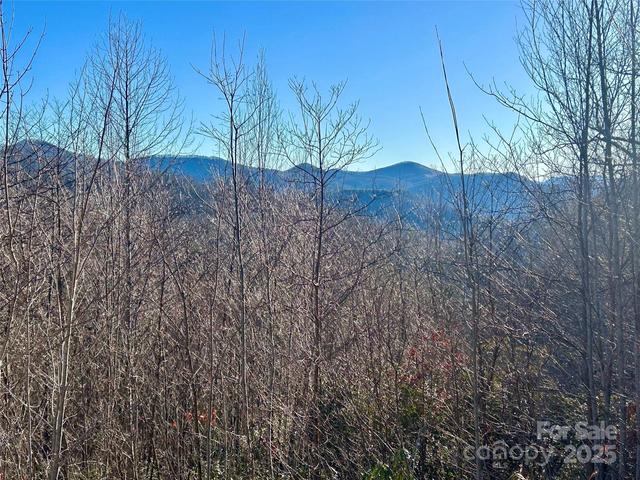 Freedom 74 Way #74, Bryson City, NC 28713