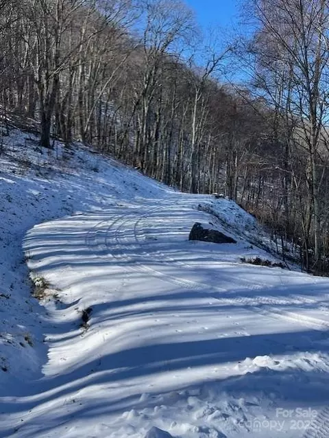 00 Wandering 98 Trl #98, Waynesville, NC 28785