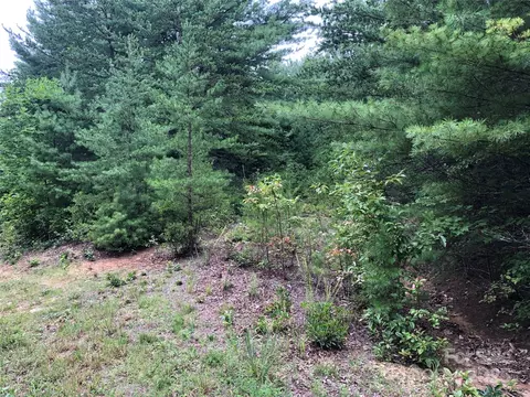 164 Staghorn Road #164, Purlear, NC 28665 photo 8