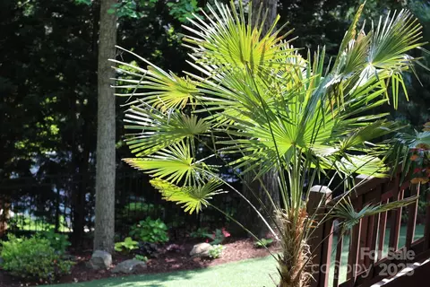 Exterior - 270 Bent Tree Dr, Stanley, NC 28164 photo 8 of 15