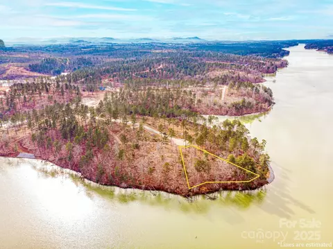 3090 Jumping 99 Run #99, Connelly Springs, NC 28612