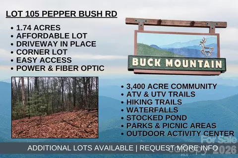 Pepper Bush 105 Road #105, Purlear, NC 28665