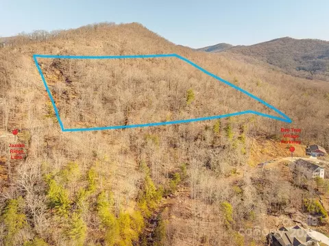 99999 Village Overlook Loop, Swannanoa, NC 28778