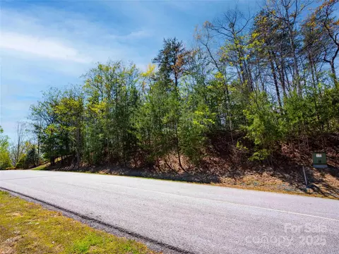 107 Deep Gap E Rd E, Mill Spring, NC 28756 photo 3