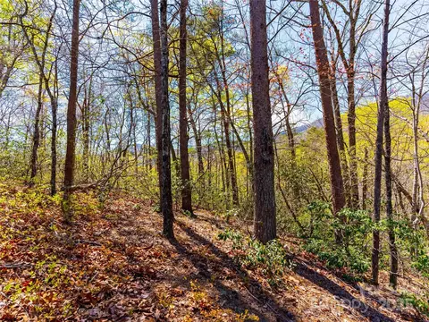 107 Deep Gap E Rd E, Mill Spring, NC 28756 photo 5