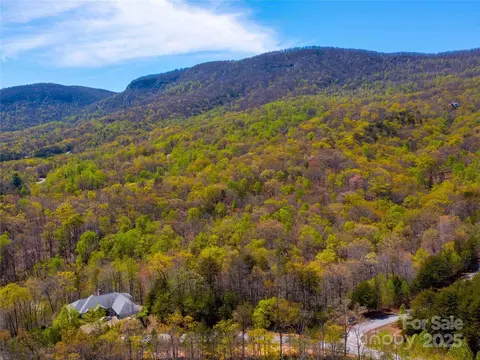 107 Deep Gap E Rd E, Mill Spring, NC 28756 photo 9