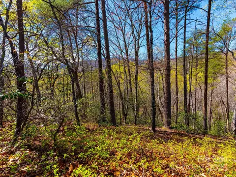 107 Deep Gap E Rd E, Mill Spring, NC 28756