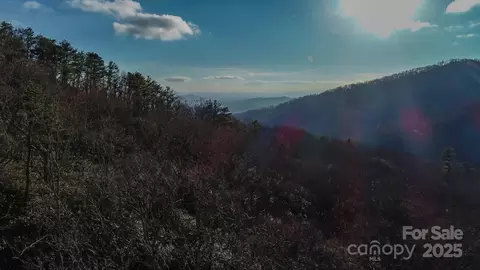 00 Rock Springs 10 Rd #10, Fairview, NC 28730