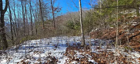Bernies Trail, Waynesville, NC 28785