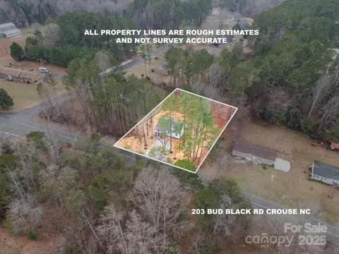 203 Bud Black Rd, Crouse, NC 28033 photo 4