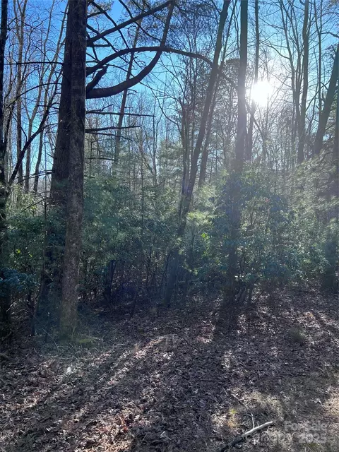 L26 Konnaneeta Trail #U03 L026, Brevard, NC 28712