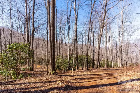 1248 Arborcrest 46 Way #46, Swannanoa, NC 28778