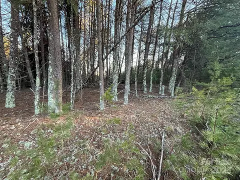 2370 Big Island Rd, Rutherfordton, NC 28139