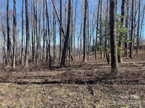 Laurel Ledge Way, Fletcher, NC 28732 photo 2