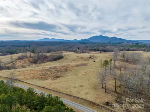 Whiteside Road, Mill Spring, NC 28756 photo 6