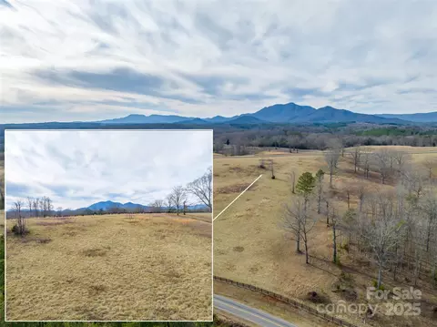 Whiteside Road, Mill Spring, NC 28756 photo 3