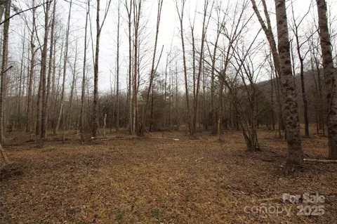 00 Marlowe Rd, Marion, NC 28752 photo 7