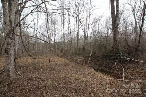 00 Marlowe Rd, Marion, NC 28752 photo 9