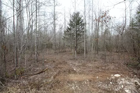 00 Marlowe Rd, Marion, NC 28752 photo 10