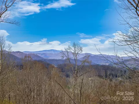 Other - 116 Cracker Trl, Clyde, NC 28721 photo 3 of 11