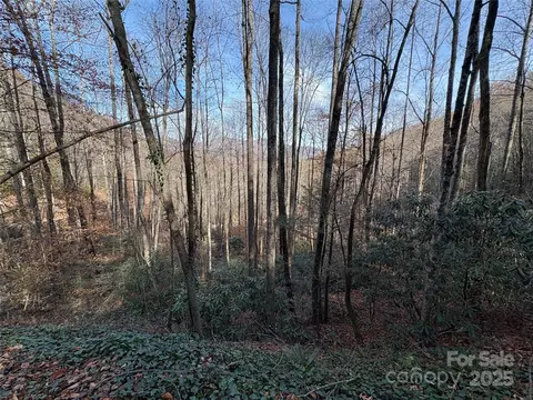 Little Bit Trail, Whittier, NC 28789