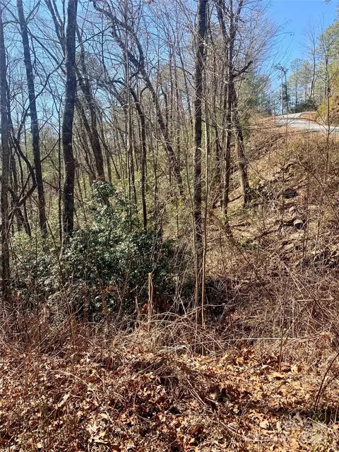 62 Oak Laurel Road #62,63, Brevard, NC 28712