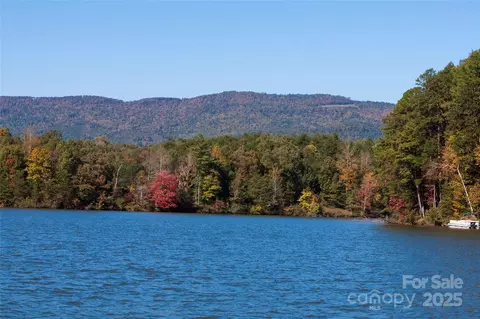 Mountain Lane, Mill Spring, NC 28756 photo 12