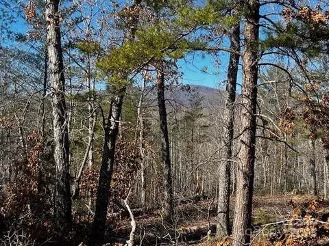 Mountain Lane, Mill Spring, NC 28756 photo 5