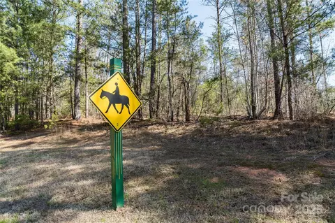 Mountain Lane, Mill Spring, NC 28756 photo 14