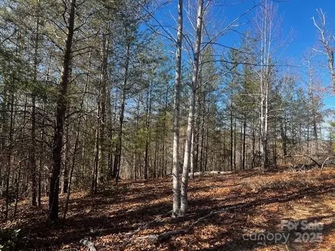Mountain Lane, Mill Spring, NC 28756 photo 9