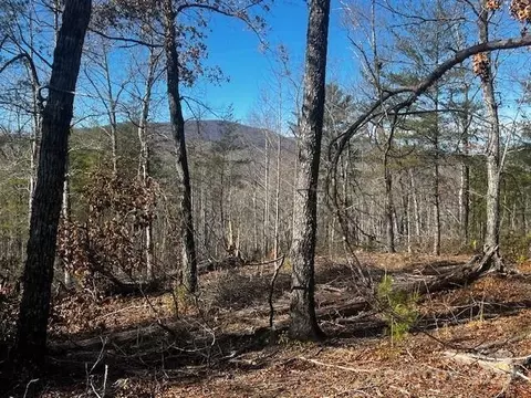 Mountain Lane, Mill Spring, NC 28756 photo 8