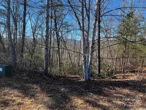 Mountain Lane, Mill Spring, NC 28756