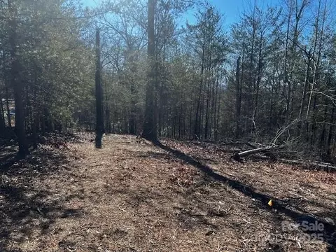 Mountain Lane, Mill Spring, NC 28756 photo 6