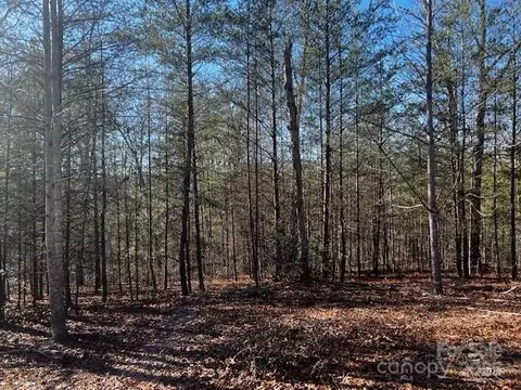 Mountain Lane, Mill Spring, NC 28756 photo 4