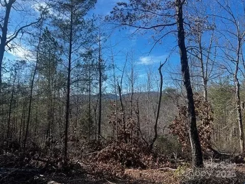 Mountain Lane, Mill Spring, NC 28756 photo 10