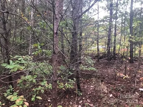 Mountain Lane, Mill Spring, NC 28756 photo 7