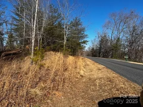 Mountain Lane, Mill Spring, NC 28756 photo 3