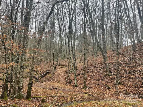 107 Pond Creek Ln, Beech Mountain, NC 28604