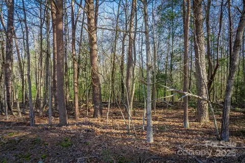 0 Springs Rd, Conover, NC 28613 photo 5